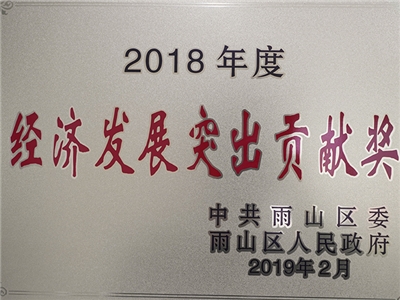 2018年度荣获经济发展突出贡献奖